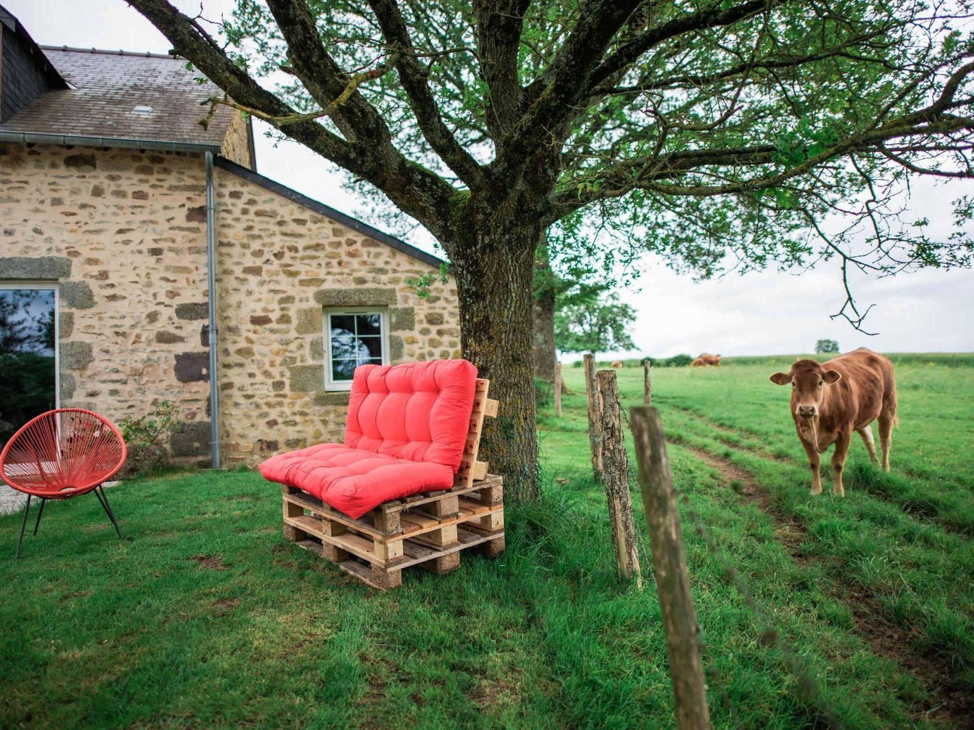 Gite De Charme Renove Avec Cheminee, Terrasse Et Proche Randonnees - Capacite 13 Pers. - Fr-1-410-179 Saint-Leonard-des-Bois Luaran gambar